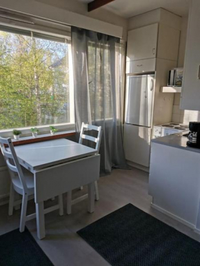 Ihana yksiö in Kokkola